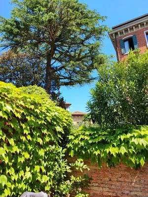 Giardino di Leo's House with Garden