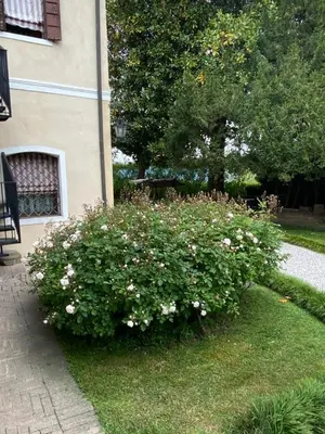 Giardino di Lodge Villa Maria