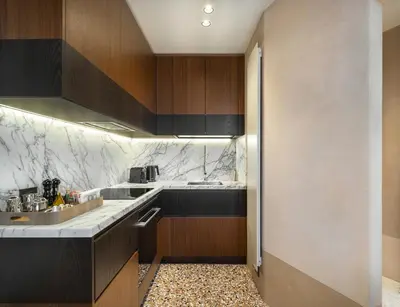 Cucina o angolo cottura di Palazzo dell'albero d'Oro