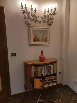Biblioteca nell'appartamento