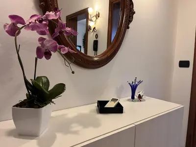 Planimetria di Ornella's apartment - Relax near Venice