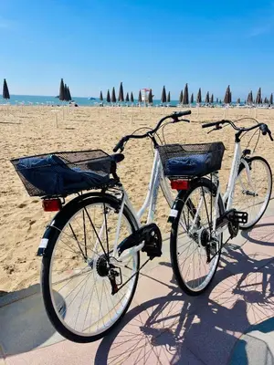 Attività di ciclismo presso l'appartamento o nelle vicinanze