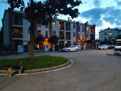 Il quartiere o una zona nella vicinanze dell'affittacamere