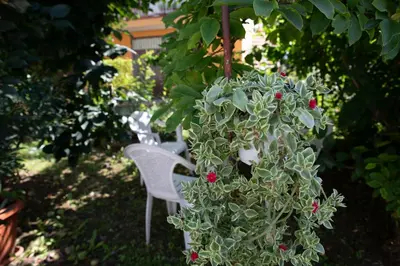 Giardino di House Anna