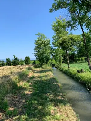 Paesaggio naturale nelle vicinanze della stanza in casa privata
