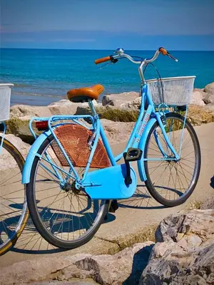 Attività di ciclismo presso l'hotel o nelle vicinanze