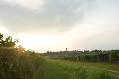 Alba o tramonto visti dall'interno dell'affittacamere o dai dintorni