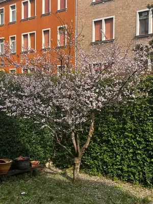 Giardino di Venice Vibes - Terrace Apartment in Venice