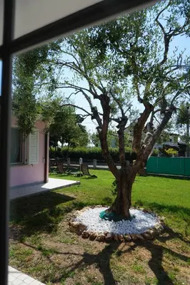 Giardino di Maison Valentina - Appartment Elégant