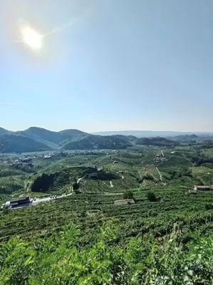 Paesaggio naturale nelle vicinanze dell'appartamento