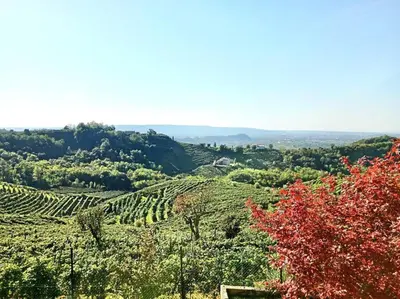 Paesaggio naturale nelle vicinanze dell'appartamento