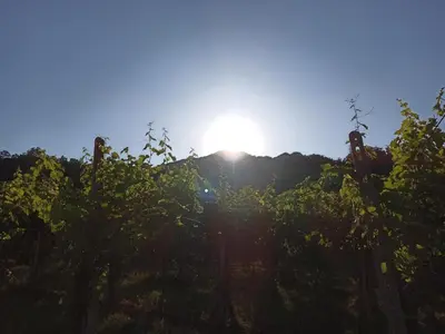Paesaggio naturale nelle vicinanze dell'appartamento