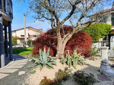 Giardino di Moreno House - Appartamento due camere