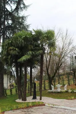 Giardino di Villa Jasmine