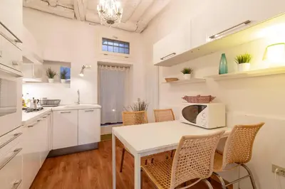 Cucina o angolo cottura di True Venice Apartment