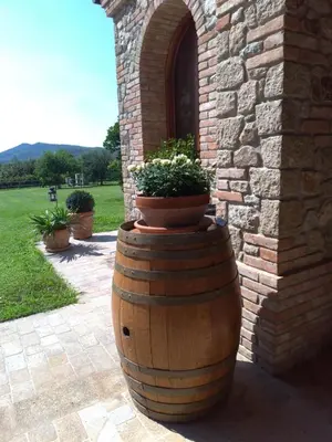 Vista generica sulle montagne o vista sulle montagne dall'interno del bed & breakfast