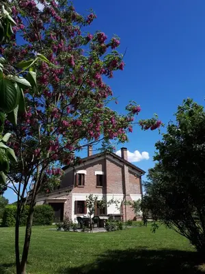 Giardino di Barchessa Da Rio
