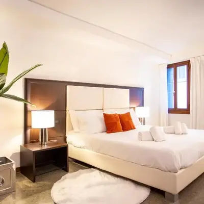 Luxury Apartment in San Marco