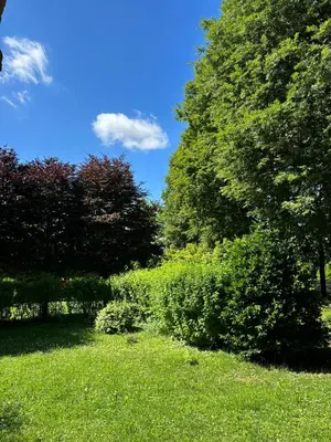 Giardino di Portego mio