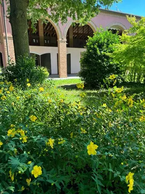 Giardino di Portego mio