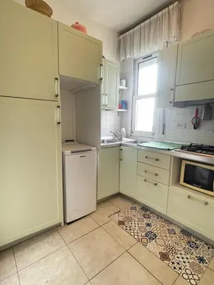 Cucina o angolo cottura di Condominio Maison Jolie- Solo per famiglie- Walterigato Apartments
