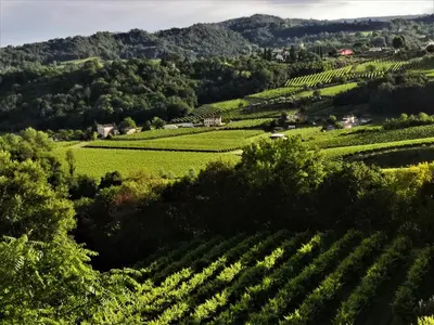 Paesaggio naturale nelle vicinanze dell'affittacamere