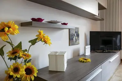 TV o dispositivi per l'intrattenimento presso Free parking - 15 min to Venice