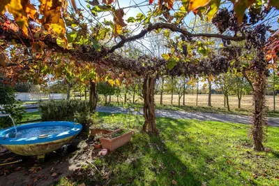 Giardino di Fiori di campo holiday home