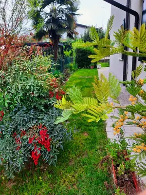 Giardino di New Bedrooms Mamma Gigetta