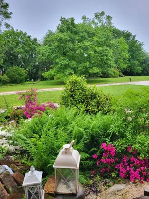 Giardino di Elis' House