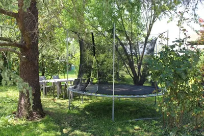 Giardino di B&B Airport Venice Diego