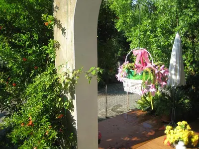 Giardino di B&B Oasi di Venezia