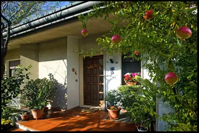 Giardino di B&B Oasi di Venezia