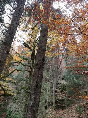 Paesaggio naturale nelle vicinanze dell'appartamento