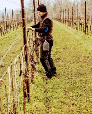 Ospiti di Antica Rinaldo