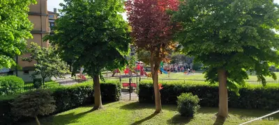 Giardino di Appartamento a Sacca Fisola