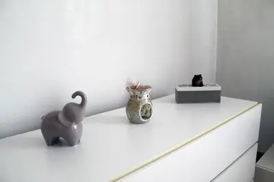 Ospiti di Casa Sunholiday Venezia con animali domestici