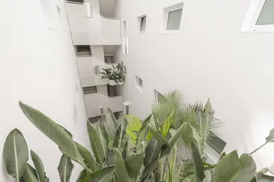 Balcone o terrazza di Palm Beach 3