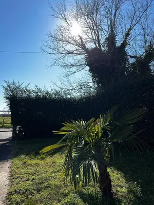 Paesaggio naturale nelle vicinanze dell'appartamento