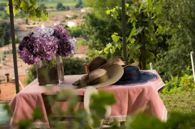 Giardino di Vite in Rosa La Casetta