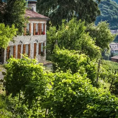 Vite in Rosa La Casetta