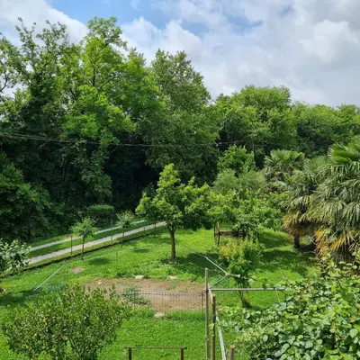 Paesaggio naturale nelle vicinanze dell'appartamento