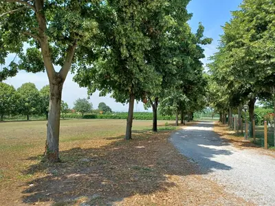 Giardino di Alloggio agrituristico Zambon