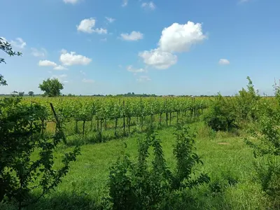 Paesaggio naturale nelle vicinanze dell'appartamento