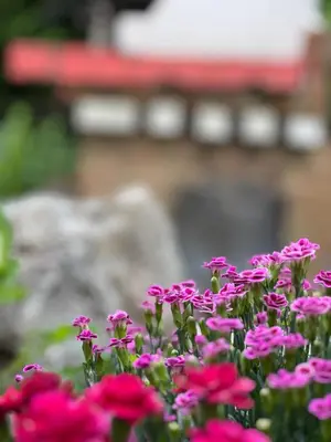 Giardino di Venice Villa Rodio