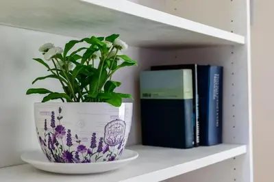 Biblioteca nell'appartamento
