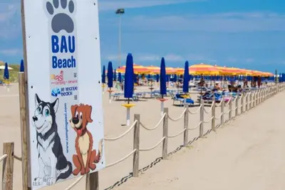 Spiaggia vicina o nei dintorni della casa vacanze