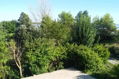 Paesaggio naturale nelle vicinanze dell'appartamento
