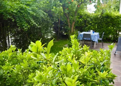 Giardino di Le Gardenie di Tito