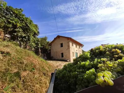 Giardino di Sul Collagù